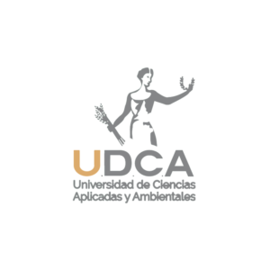 UDCA
