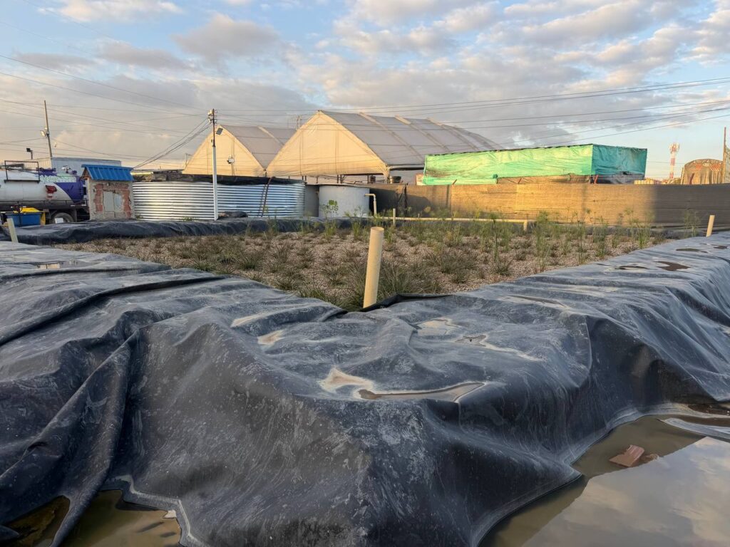 Amplias instalaciones de recepción en la PTAR autorizada para la gestión de grandes volúmenes de residuos. Humedal Artificial