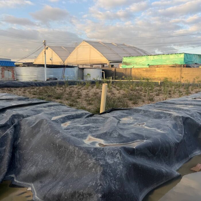 Amplias instalaciones de recepción en la PTAR autorizada para la gestión de grandes volúmenes de residuos. Humedal Artificial