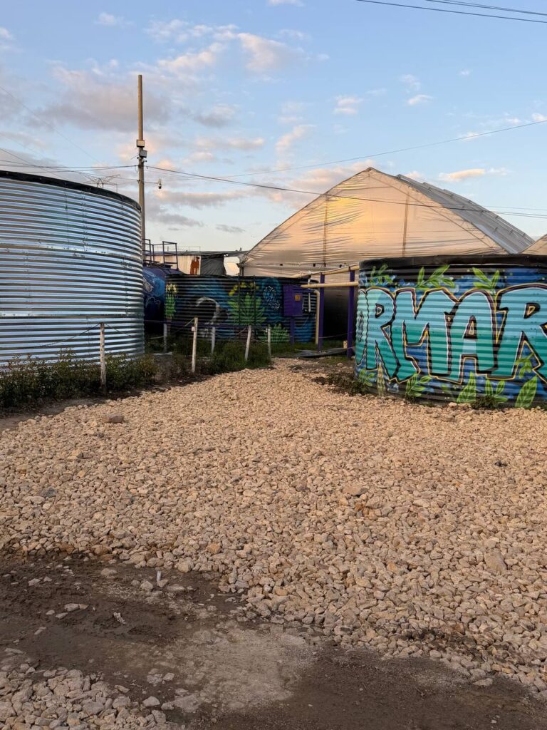 Área de Tratamiento en Planta Propia