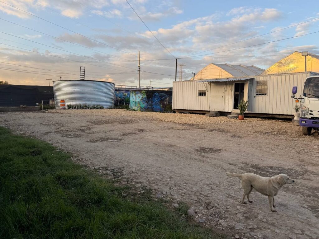 Instalaciones de la PTAR Magnus Ambientales