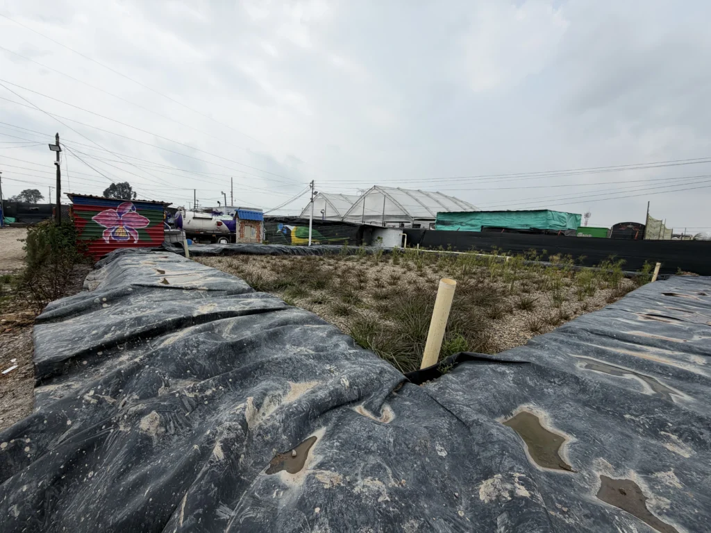 Sistema de humedal artificial cubierto con geomembrana en la planta de tratamiento de Magnus Ambientales