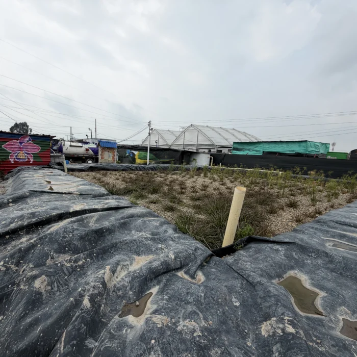 Sistema de humedal artificial cubierto con geomembrana en la planta de tratamiento de Magnus Ambientales