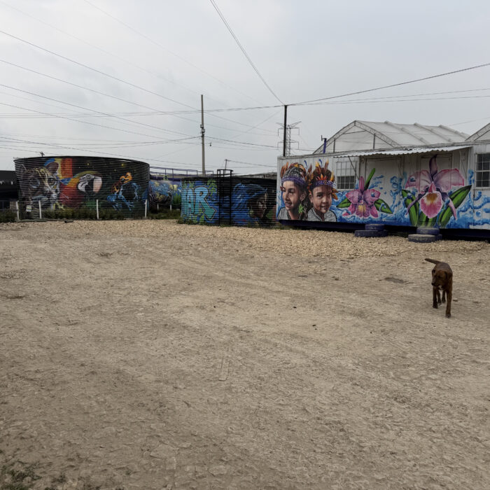 Tanques de almacenamiento de la Planta de Tratamiento de Aguas Residuales (PTAR) de Magnus con murales artísticos.