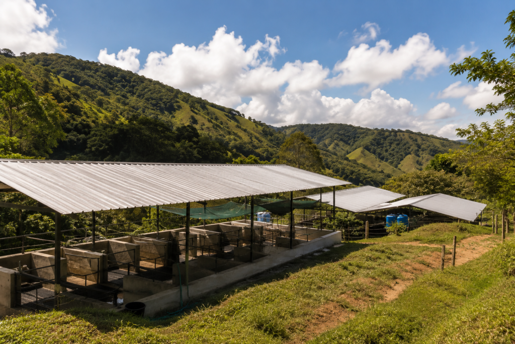 granja porcícola Cundinamarca gestión aguas residuales
