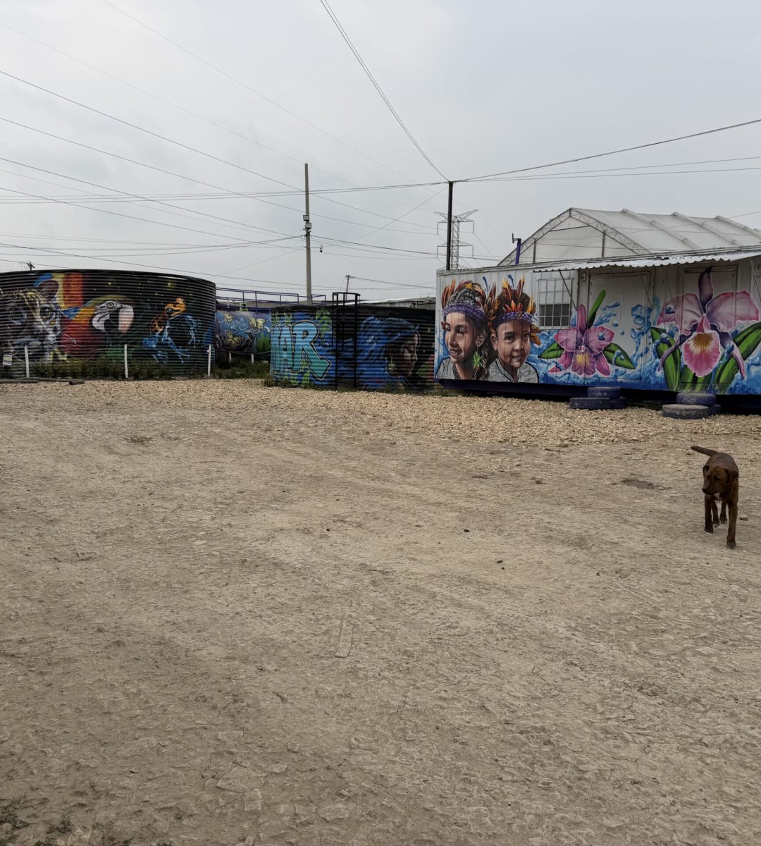 Tanques de almacenamiento de la Planta de Tratamiento de Aguas Residuales (PTAR) de Magnus con murales artísticos.