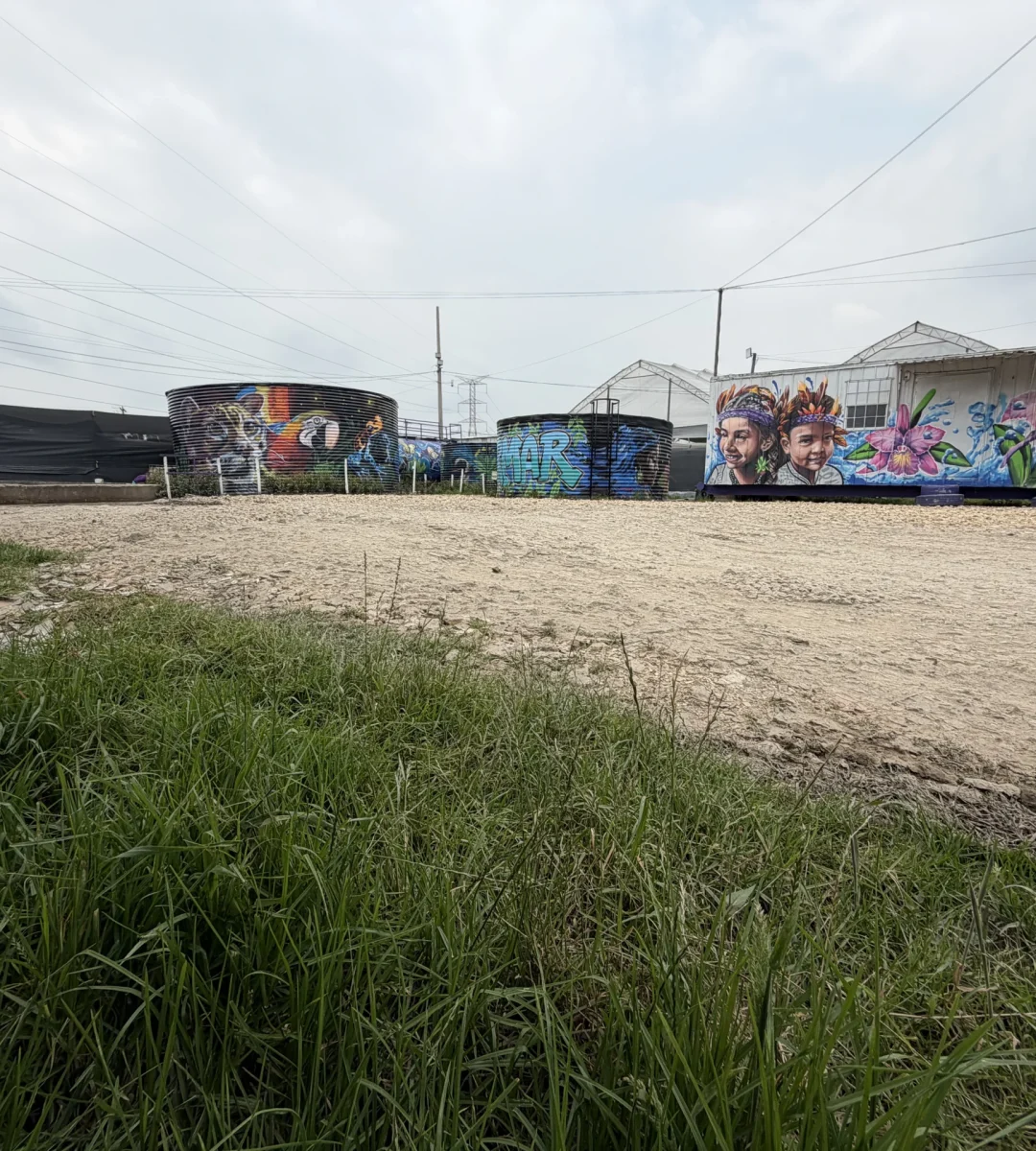 Módulos de tratamiento de aguas residuales con arte urbano en las instalaciones de Magnus en Cundinamarca